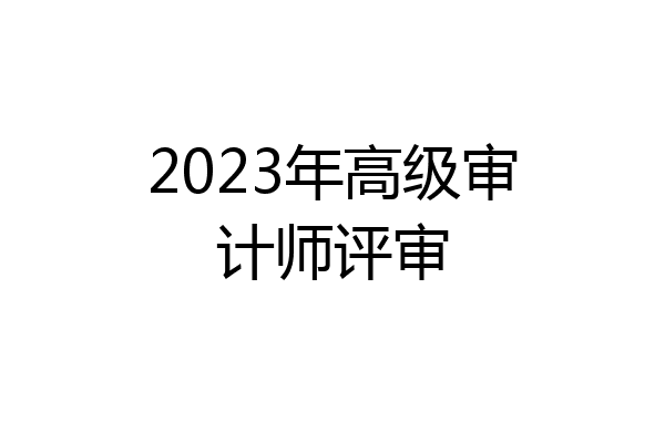 2023年高级审计师评审