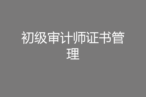 初级审计师证书管理