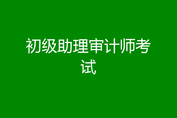 初级助理审计师考试