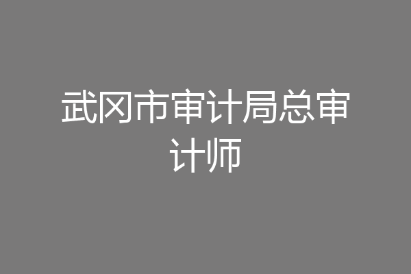 武冈市审计局总审计师