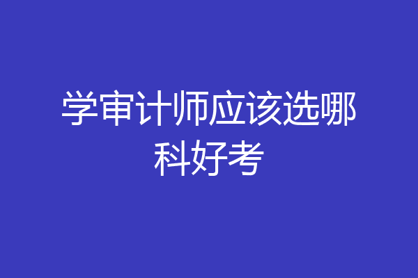 学审计师应该选哪科好考