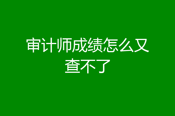 审计师成绩怎么又查不了