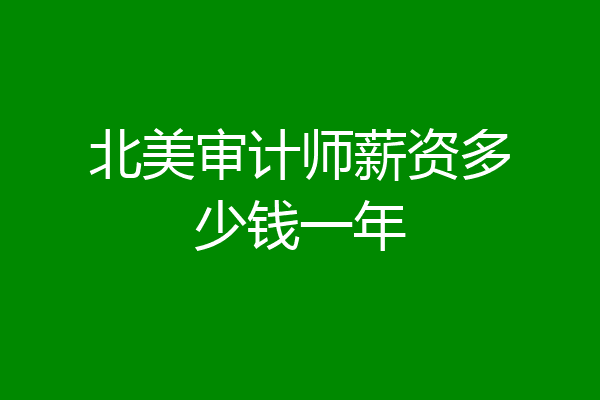 北美审计师薪资多少钱一年