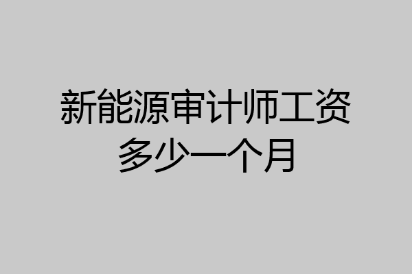 新能源审计师工资多少一个月