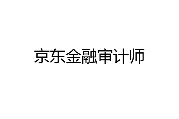 京东金融审计师
