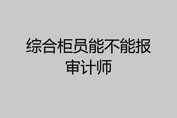 综合柜员能不能报审计师