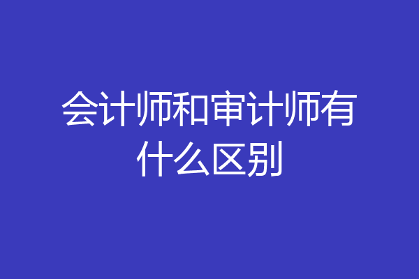 会计师和审计师有什么区别