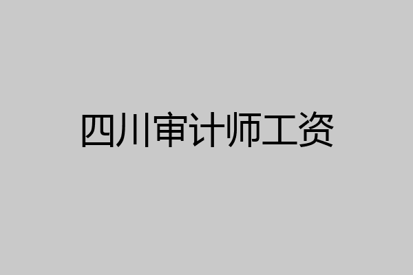 四川审计师工资