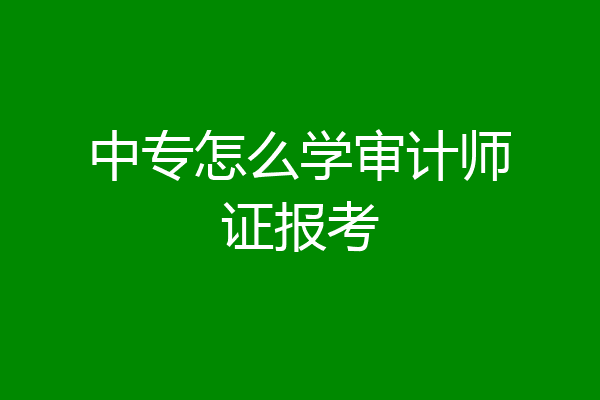 中专怎么学审计师证报考