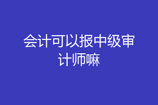 会计可以报中级审计师嘛