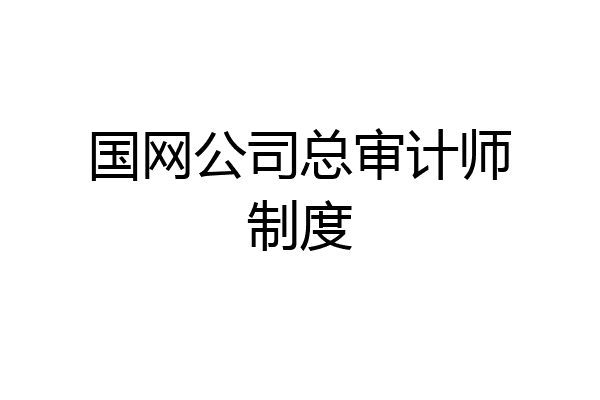 国网公司总审计师制度