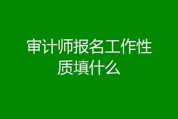 审计师报名工作性质填什么