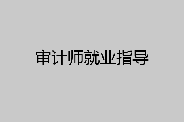 审计师就业指导