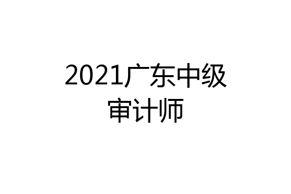 2021广东中级审计师
