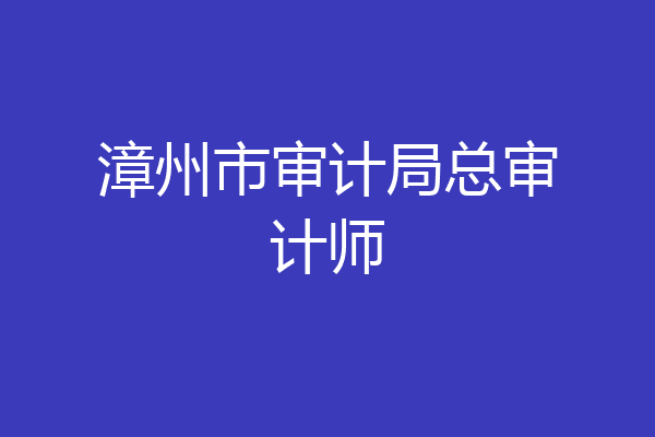 漳州市审计局总审计师