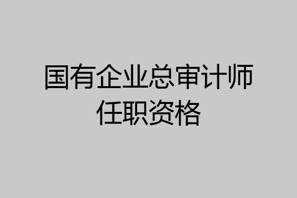国有企业总审计师任职资格