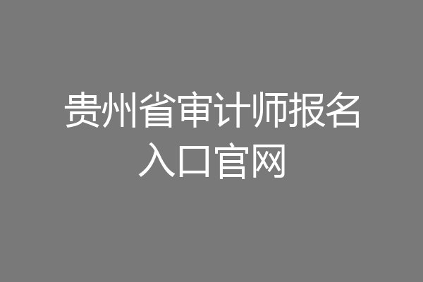 贵州省审计师报名入口官网