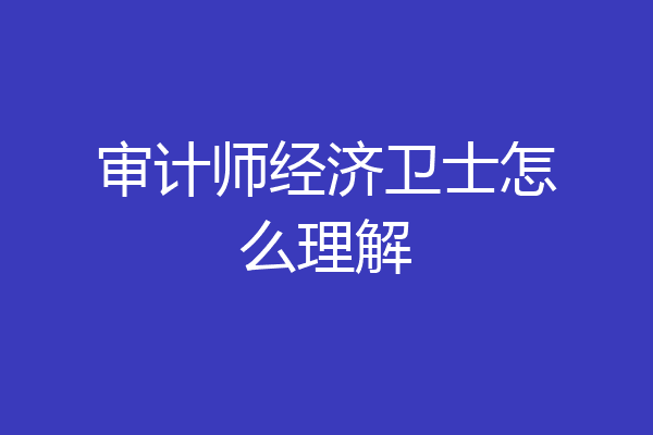 审计师经济卫士怎么理解