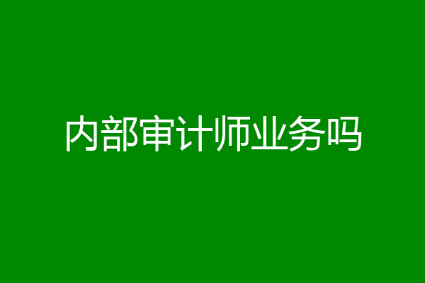 内部审计师业务吗