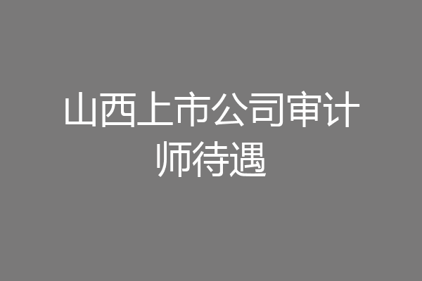 山西上市公司审计师待遇