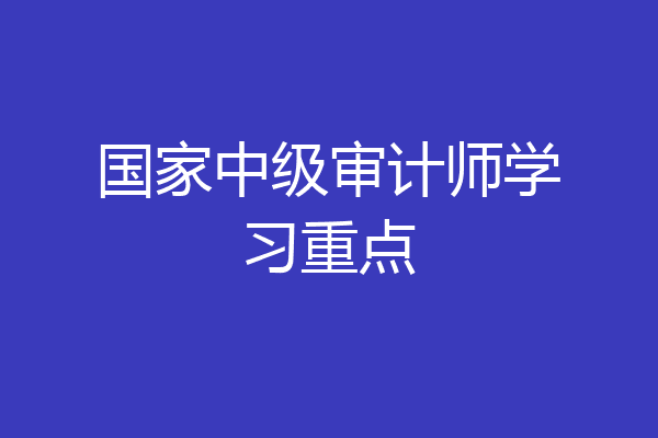 国家中级审计师学习重点