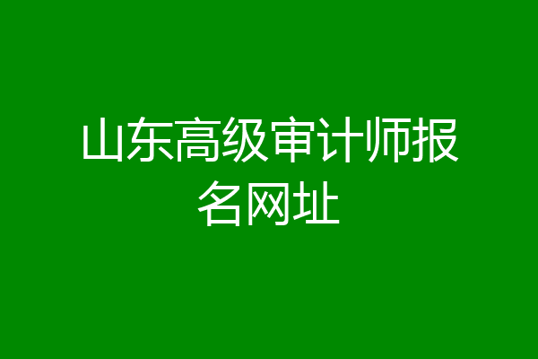 山东高级审计师报名网址
