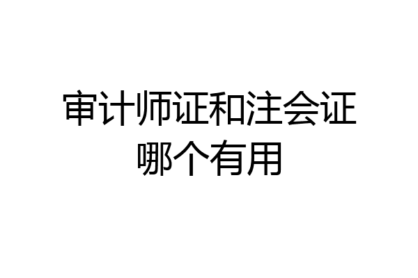 审计师证和注会证哪个有用