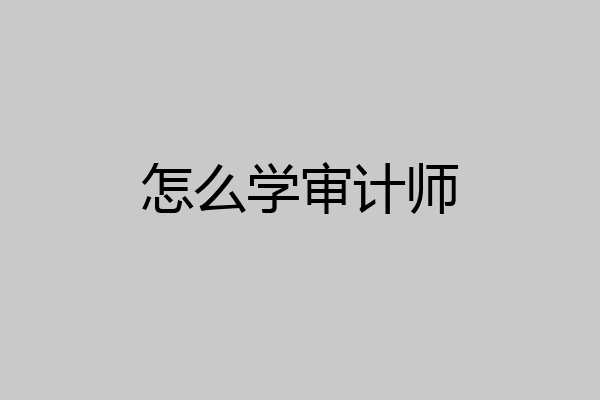怎么学审计师