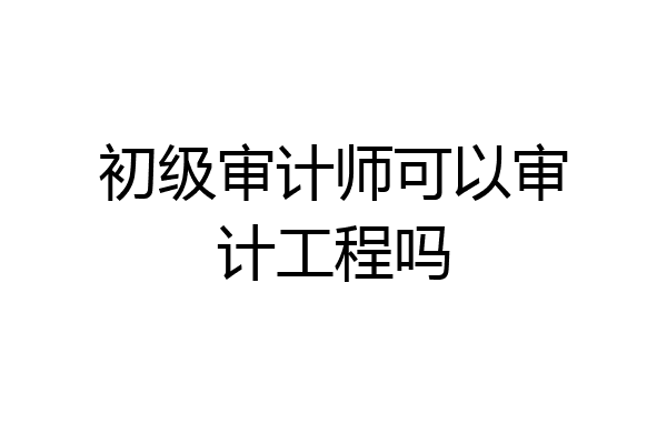 初级审计师可以审计工程吗