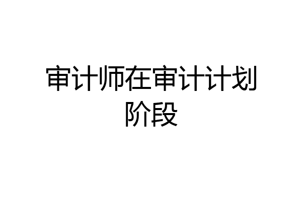 审计师在审计计划阶段