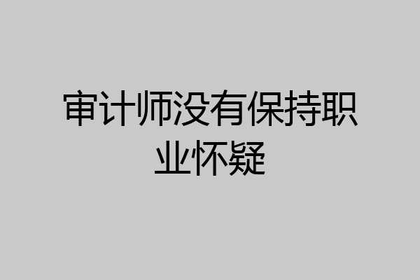 审计师没有保持职业怀疑