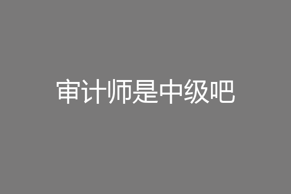 审计师是中级吧