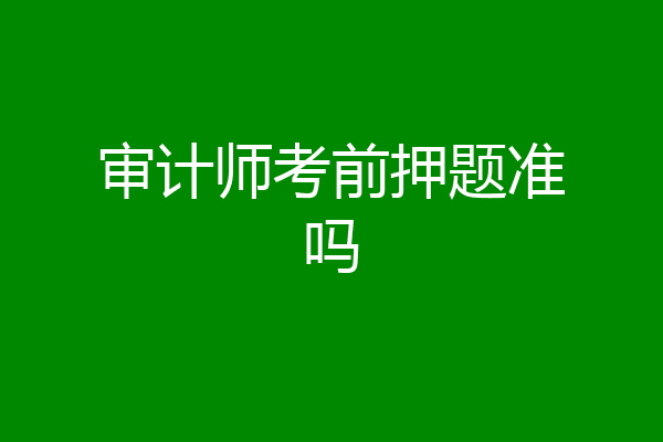 审计师考前押题准吗