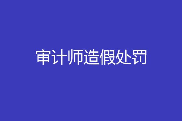 审计师造假处罚