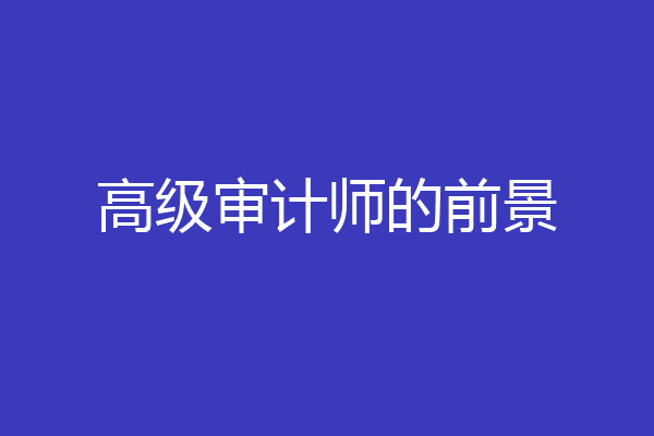 高级审计师的前景