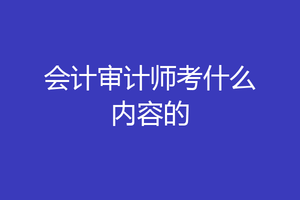 会计审计师考什么内容的