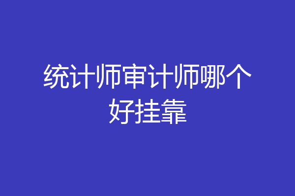 统计师审计师哪个好挂靠