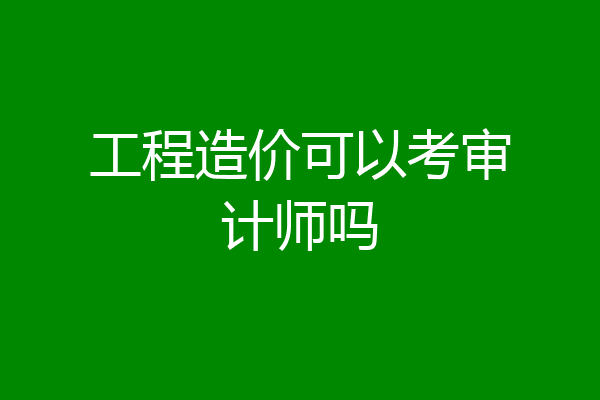 工程造价可以考审计师吗