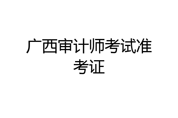 广西审计师考试准考证