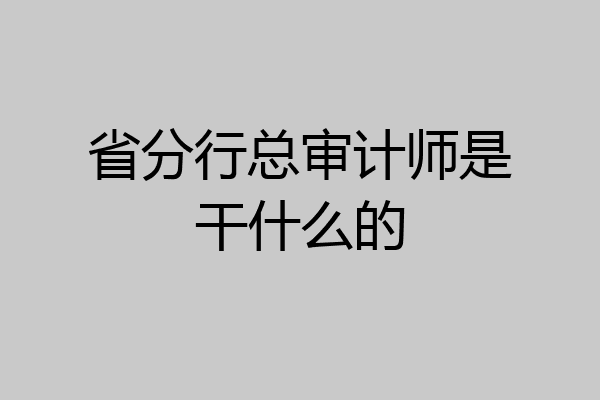 省分行总审计师是干什么的