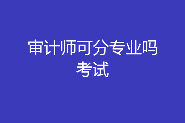 审计师可分专业吗考试
