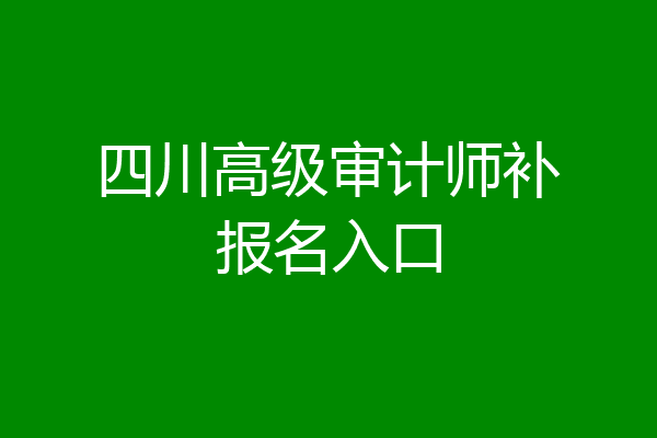 四川高级审计师补报名入口