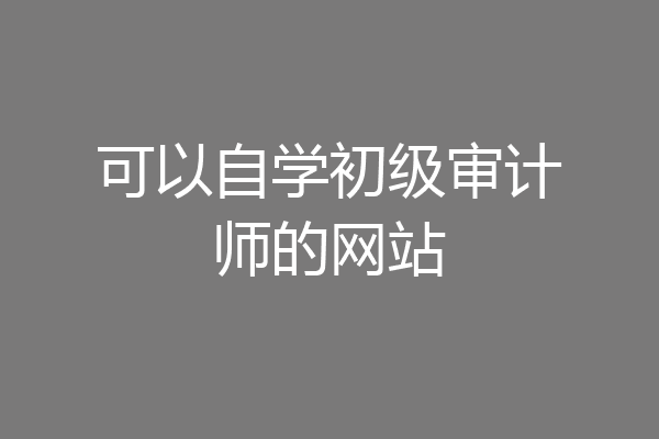 可以自学初级审计师的网站