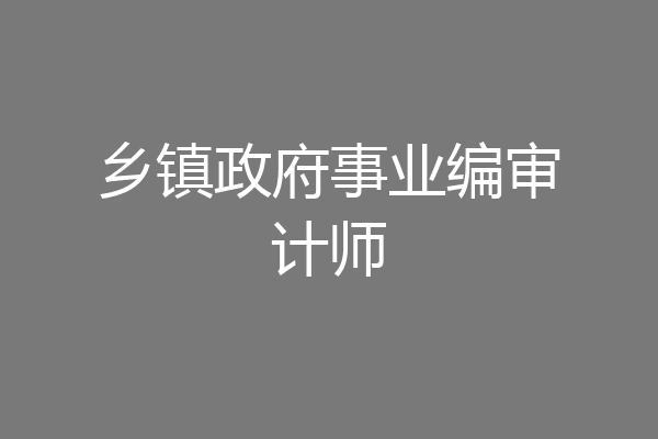 乡镇政府事业编审计师