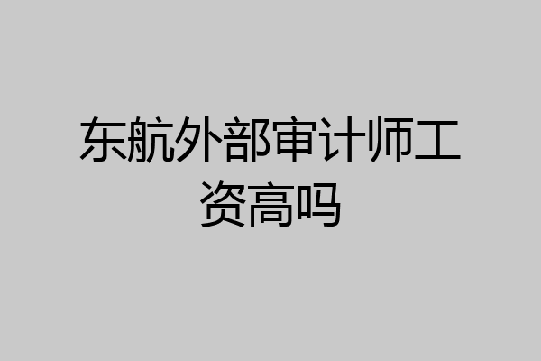 东航外部审计师工资高吗