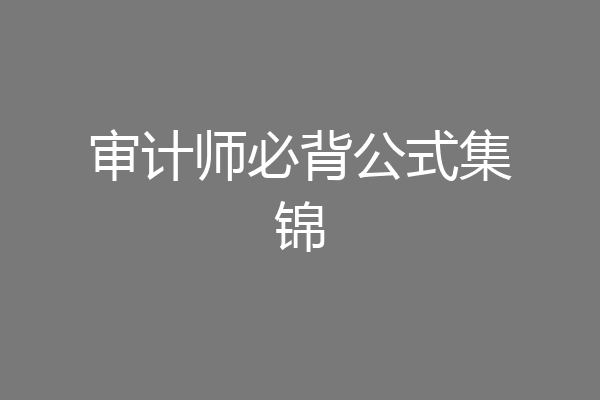 审计师必背公式集锦