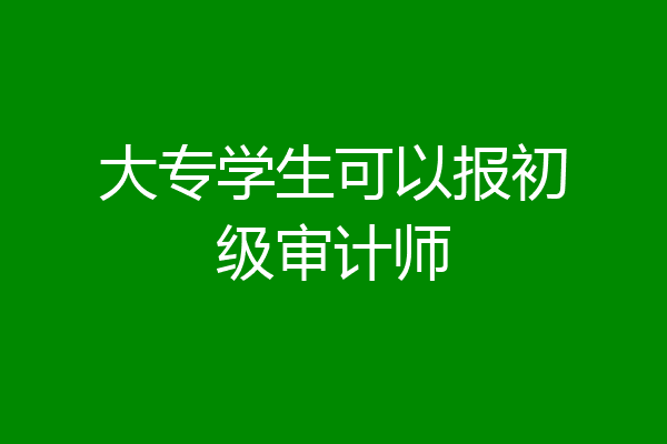 大专学生可以报初级审计师