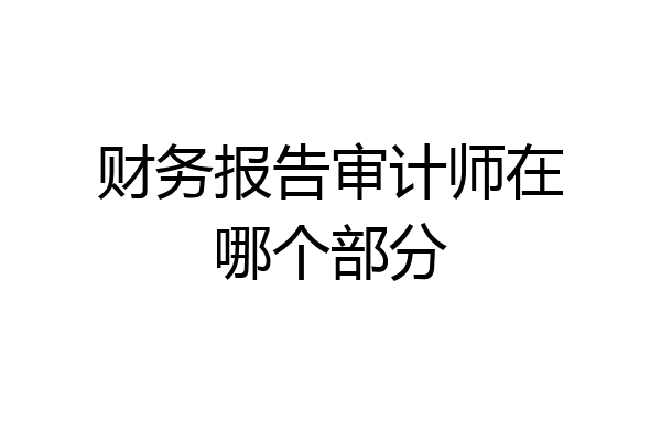财务报告审计师在哪个部分