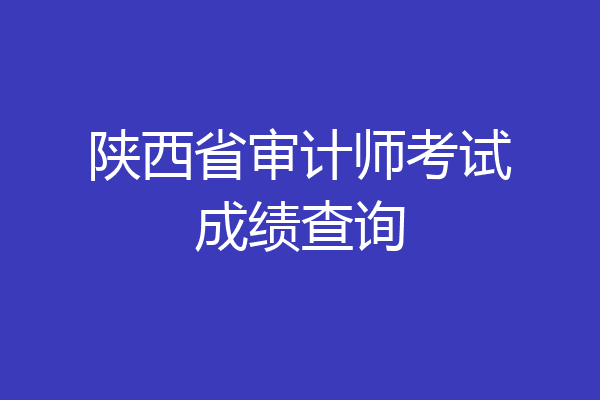 陕西省审计师考试成绩查询