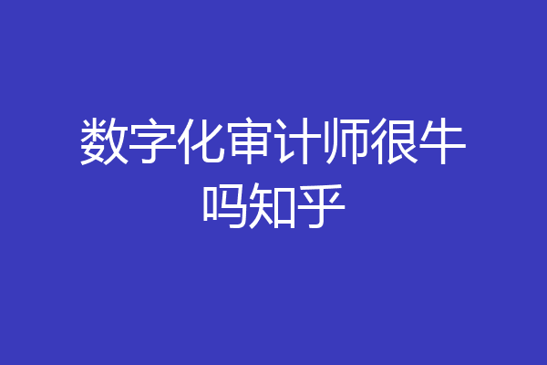 数字化审计师很牛吗知乎